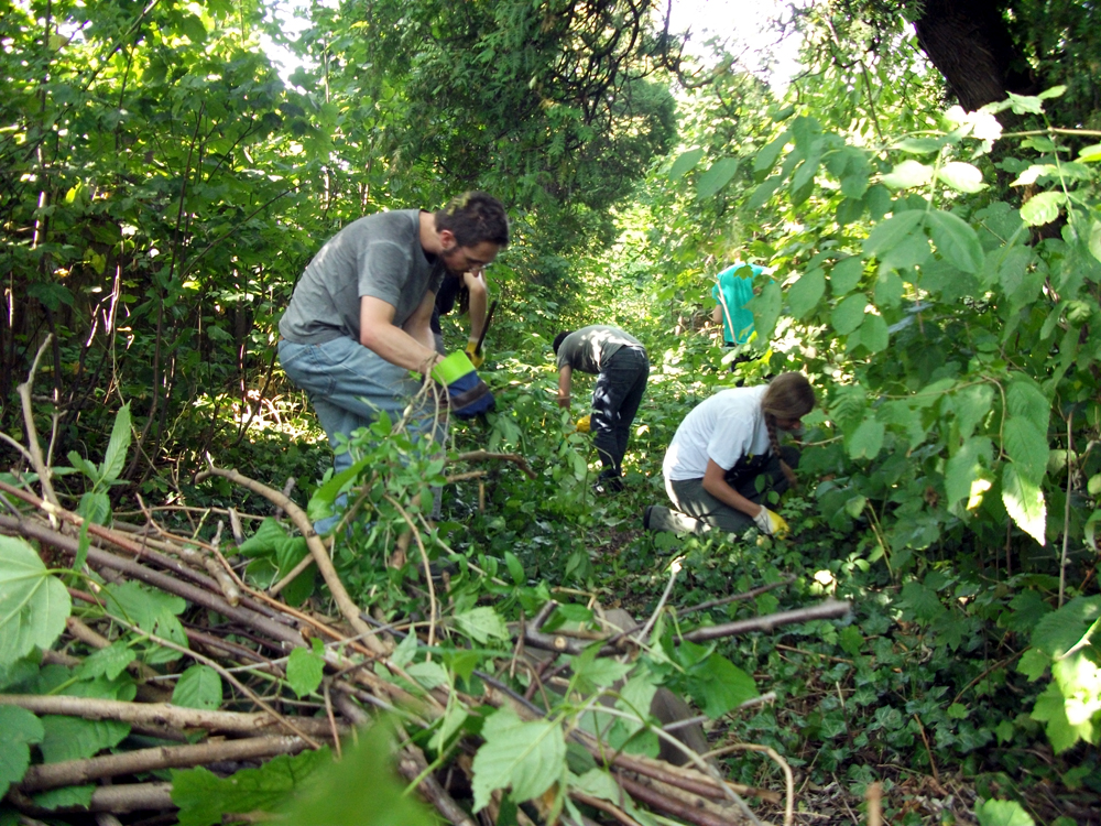 Workcamp Bielsko-Biała 